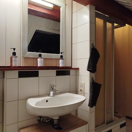 Altstadt Luka Apartment Roding